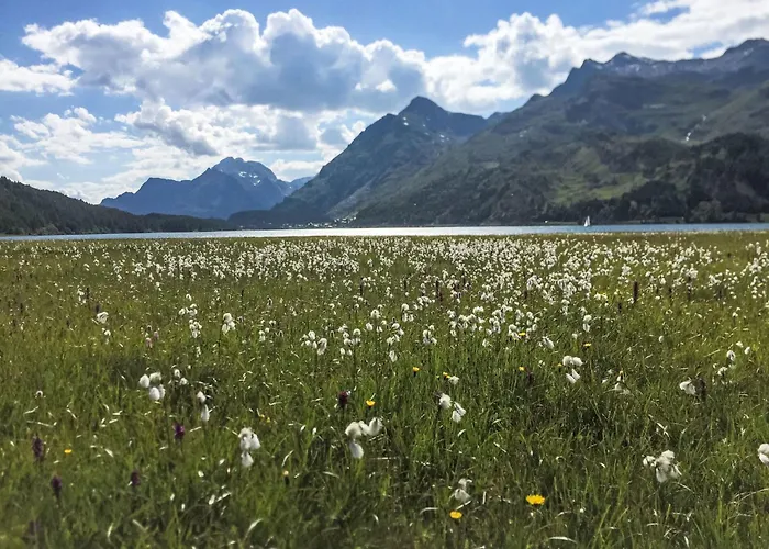 Appartement Chesa Piol By Interhome *